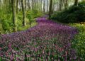 Ein sanfter Ruf zur Garten-Erneuerung